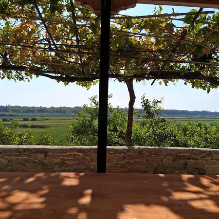 Theoni's * Kato Samikon